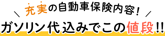 ガソリン代込みでこの値段